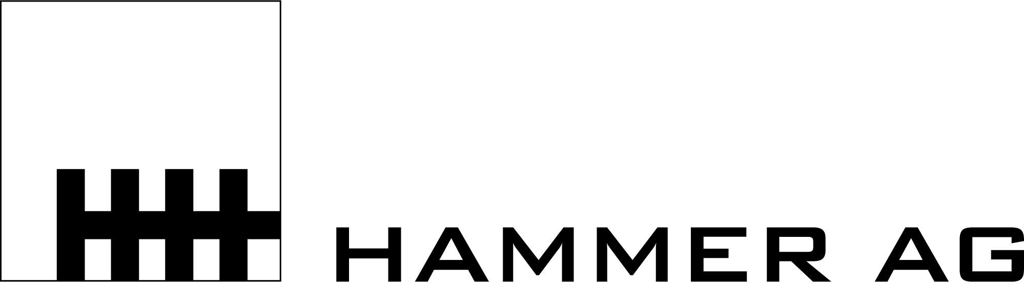 HAMMER AG